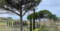 21V – CASALE MARITTIMO, APPARTAMENTO IN BIFAMILIARE