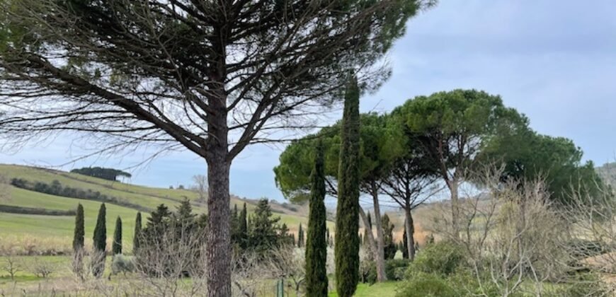 21V – CASALE MARITTIMO, APPARTAMENTO IN BIFAMILIARE