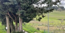 21V – CASALE MARITTIMO, APPARTAMENTO IN BIFAMILIARE