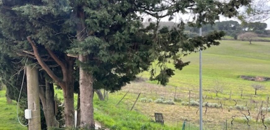 21V – CASALE MARITTIMO, APPARTAMENTO IN BIFAMILIARE