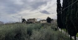 21V – CASALE MARITTIMO, APPARTAMENTO IN BIFAMILIARE