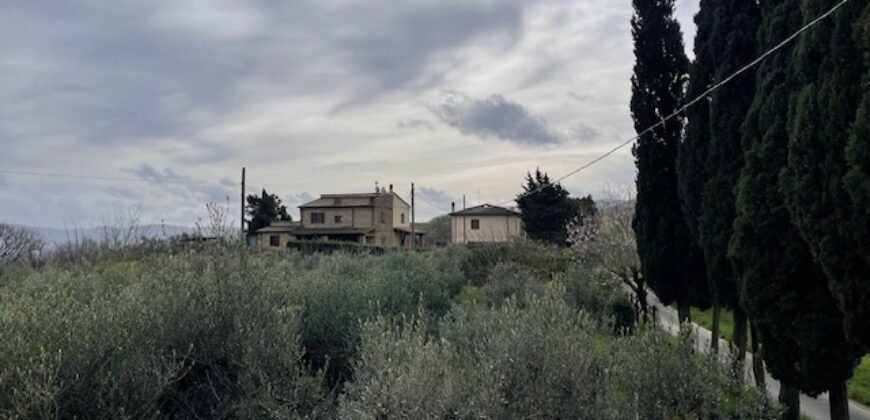 21V – CASALE MARITTIMO, APPARTAMENTO IN BIFAMILIARE