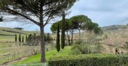 21V – CASALE MARITTIMO, APPARTAMENTO IN BIFAMILIARE