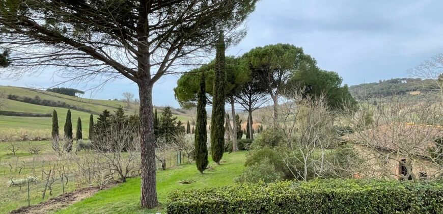 21V – CASALE MARITTIMO, APPARTAMENTO IN BIFAMILIARE