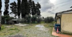 21V – CASALE MARITTIMO, APPARTAMENTO IN BIFAMILIARE