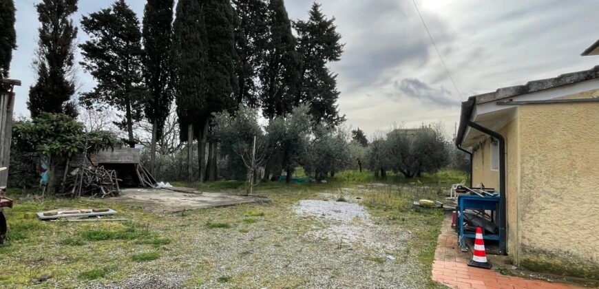 21V – CASALE MARITTIMO, APPARTAMENTO IN BIFAMILIARE