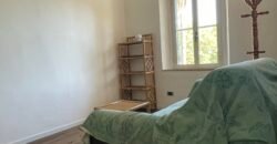 111A – VADA, TRILOCALE NUOVO 4 POSTI