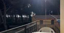 117A  – LA MAZZANTA, 6 POSTI – MAGGIO, GIUGNO, LUGLIO E SETTEMBRE