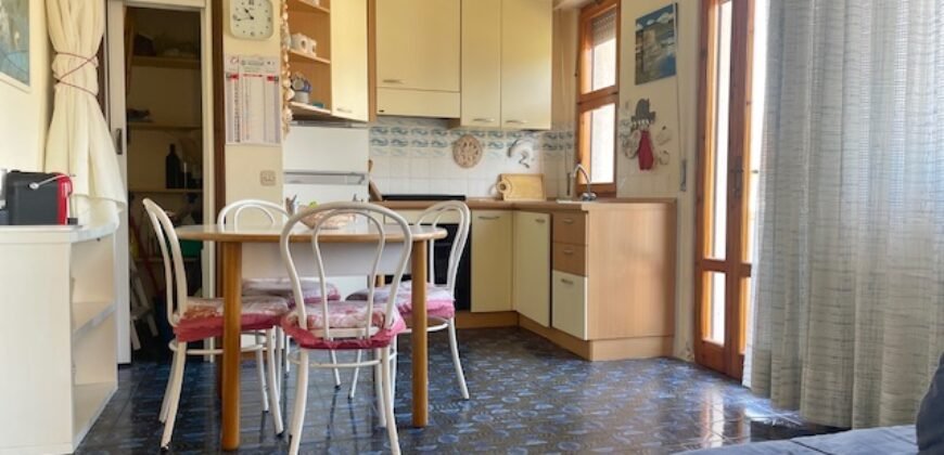 25V – LA MAZZANTA, TRILOCALE CON GIARDINO