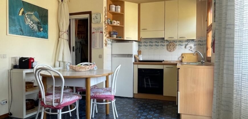 25V – LA MAZZANTA, TRILOCALE CON GIARDINO