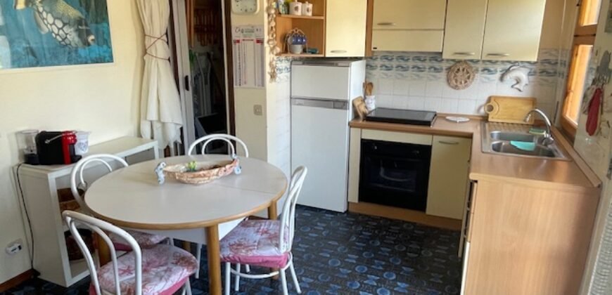 25V – LA MAZZANTA, TRILOCALE CON GIARDINO