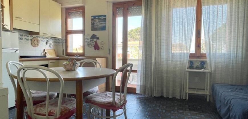 25V – LA MAZZANTA, TRILOCALE CON GIARDINO