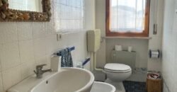 25V – LA MAZZANTA, TRILOCALE CON GIARDINO