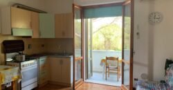 4V – VADA, MONOLOCALE CON CANTINA