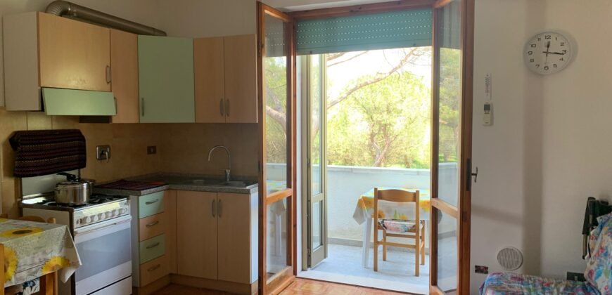 4V – VADA, MONOLOCALE CON CANTINA