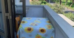 4V – VADA, MONOLOCALE CON CANTINA