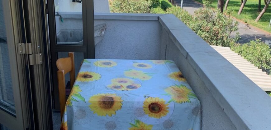 4V – VADA, MONOLOCALE CON CANTINA