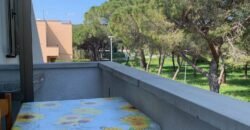 4V – VADA, MONOLOCALE CON CANTINA