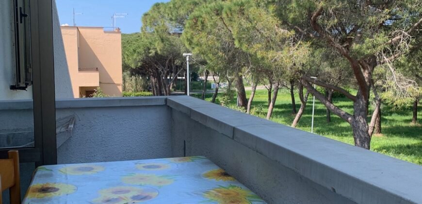 4V – VADA, MONOLOCALE CON CANTINA