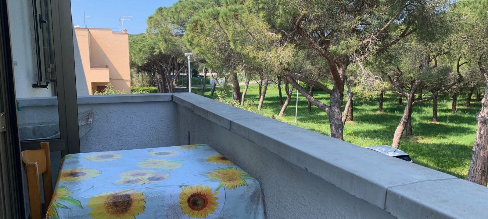 4V – VADA, MONOLOCALE CON CANTINA