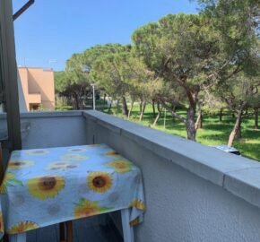 4V – VADA, MONOLOCALE CON CANTINA
