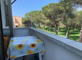 4V – VADA, MONOLOCALE CON CANTINA