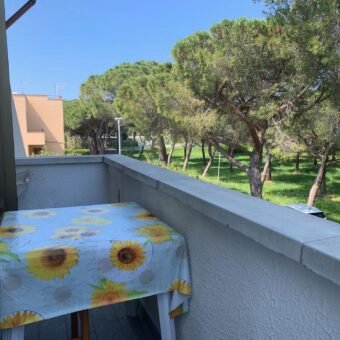 4V – VADA, MONOLOCALE CON CANTINA