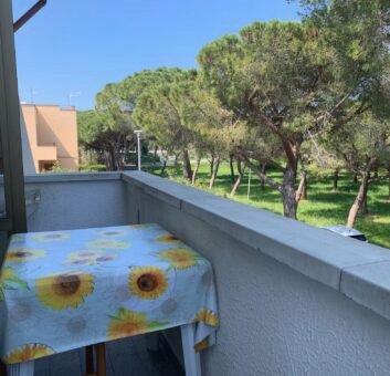 4V – VADA, MONOLOCALE CON CANTINA
