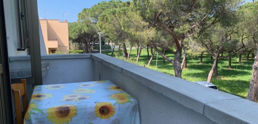 4V – VADA, MONOLOCALE CON CANTINA