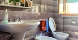 4V – VADA, MONOLOCALE CON CANTINA