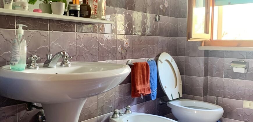 4V – VADA, MONOLOCALE CON CANTINA