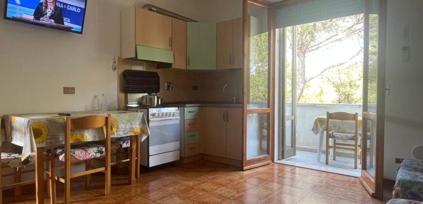 4V – VADA, MONOLOCALE CON CANTINA