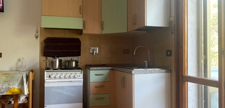 4V – VADA, MONOLOCALE CON CANTINA