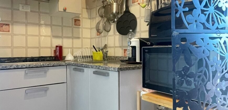 6V – VADA, TRILOCALE IN OTTIME CONDIZIONI