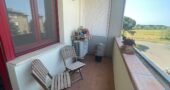 17V – VADA, BILOCALE A 500 M DAL MARE
