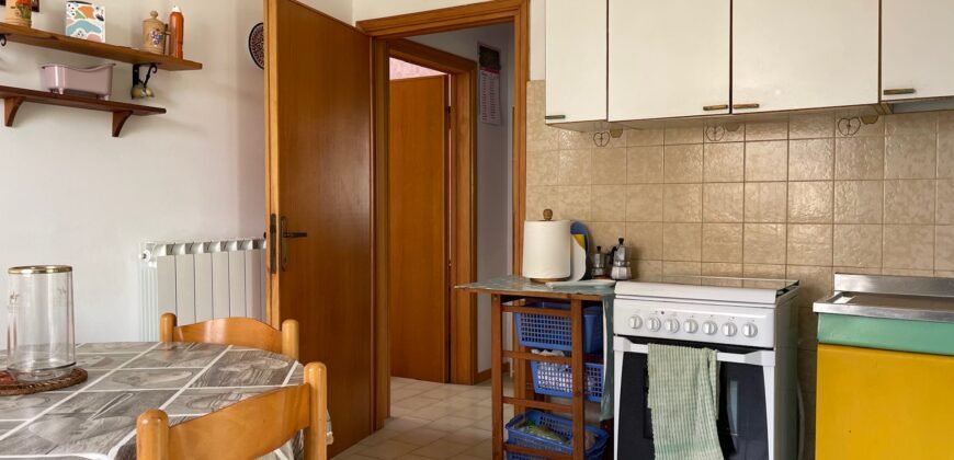 3V – VADA, APPARTAMENTO CON AMPIO GIARDINO