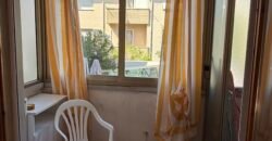 12V – VADA, 300 M DAL MARE CON AMPIO GIARDINO