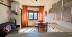 8V – VADA, BILOCALE A 500 M DAL MARE