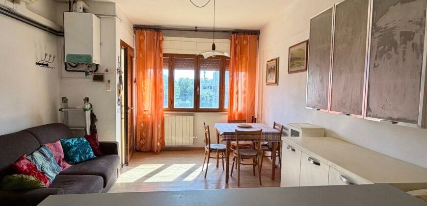 8V – VADA, BILOCALE A 500 M DAL MARE