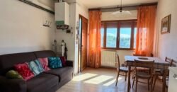 8V – VADA, BILOCALE A 500 M DAL MARE
