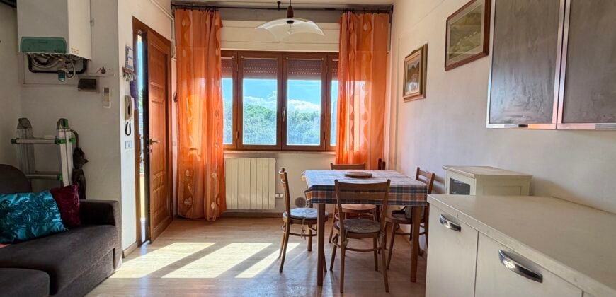 8V – VADA, BILOCALE A 500 M DAL MARE