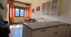 8V – VADA, BILOCALE A 500 M DAL MARE