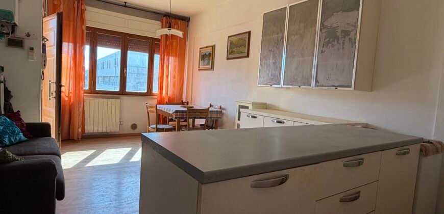 8V – VADA, BILOCALE A 500 M DAL MARE