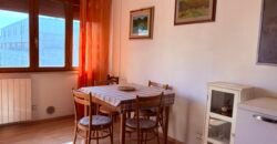8V – VADA, BILOCALE A 500 M DAL MARE