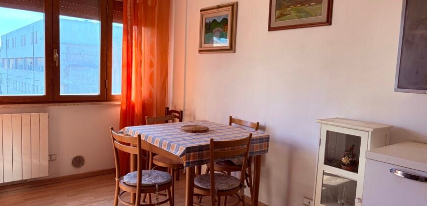 8V – VADA, BILOCALE A 500 M DAL MARE