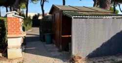 9V – VADA, A 250 M DAL MARE APPARTAMENTO CON AMPIO GIARDINO