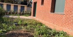 39V – VADA, TRILOCALE NUOVO CON GIARDINO