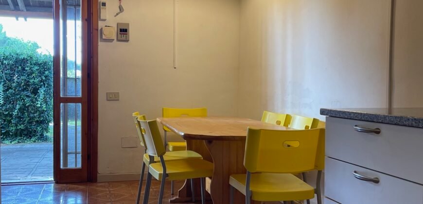 10V – VADA, APPRTAMENTO CON GIARDINO A 300 M DAL MARE