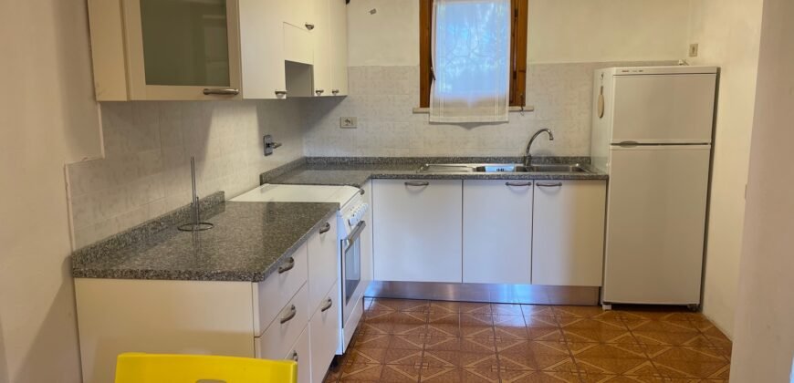 10V – VADA, APPRTAMENTO CON GIARDINO A 300 M DAL MARE