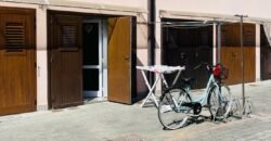 30V – VADA, APPARTAMENTO IN SCHIERA